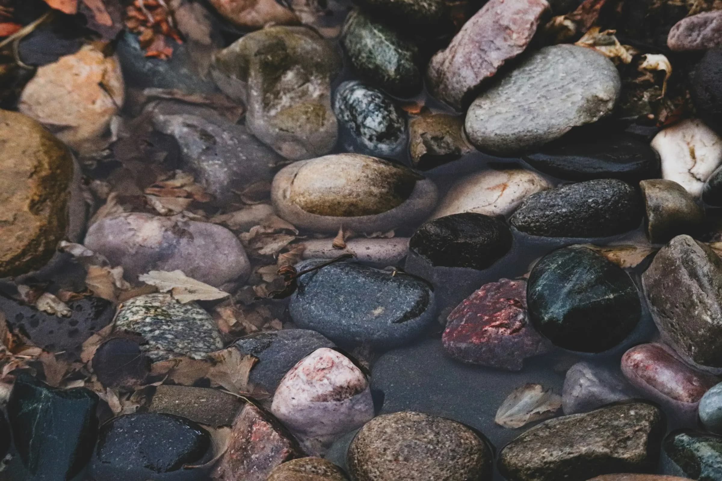 Smooth wet river stones in grey, rust, and green.